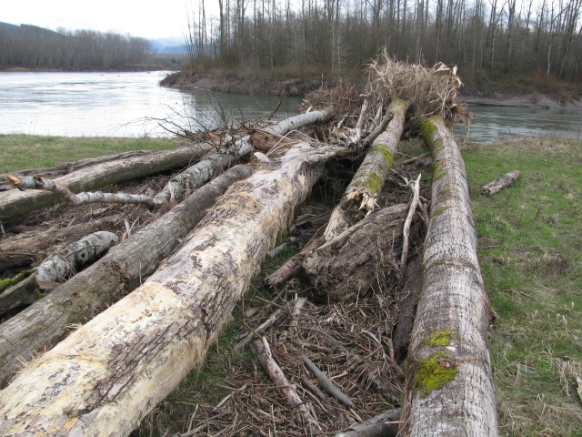 Engineering With Nature initiative captures sustainability award for the Corps of Engineers