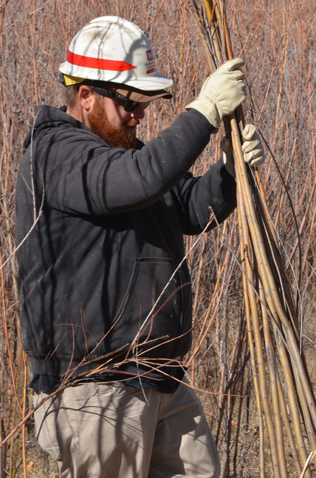 Albuquerque District participates in riparian rehabilitation workshop at Cochiti Dam