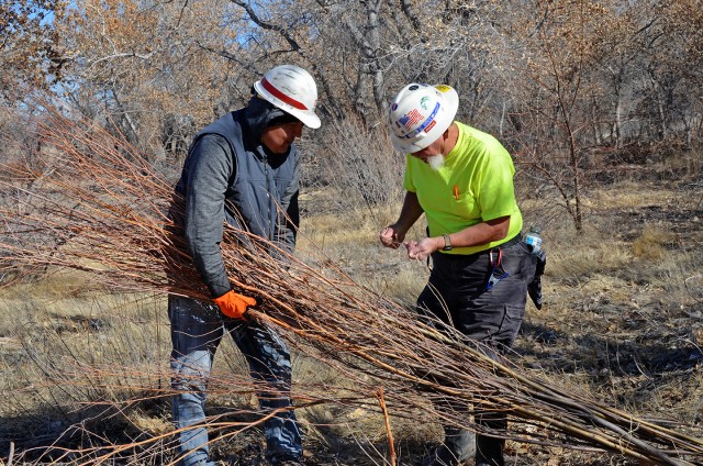 Albuquerque District participates in riparian rehabilitation workshop at Cochiti Dam