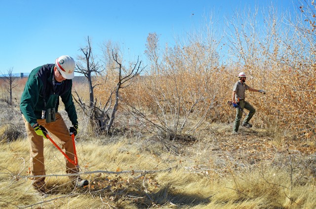Albuquerque District participates in riparian rehabilitation workshop at Cochiti Dam