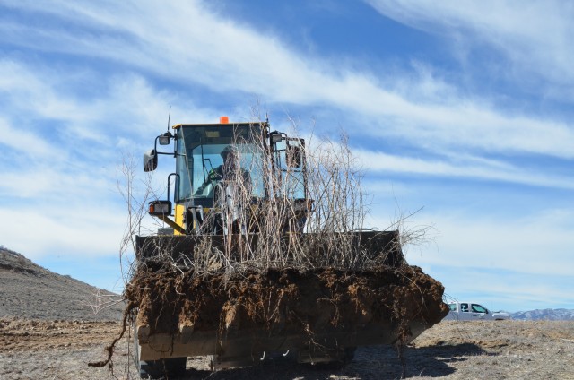 Albuquerque District participates in riparian rehabilitation workshop at Cochiti Dam