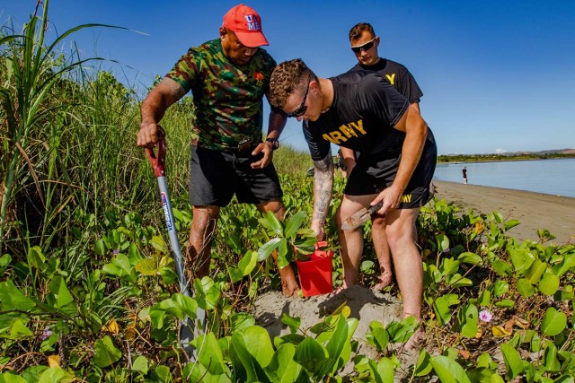 Coastal and reef revitalization