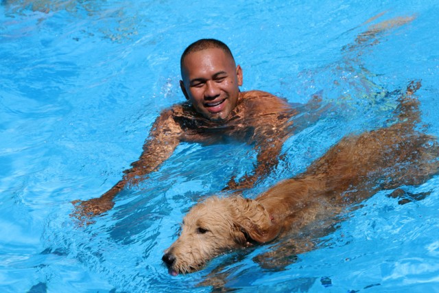 Pool1