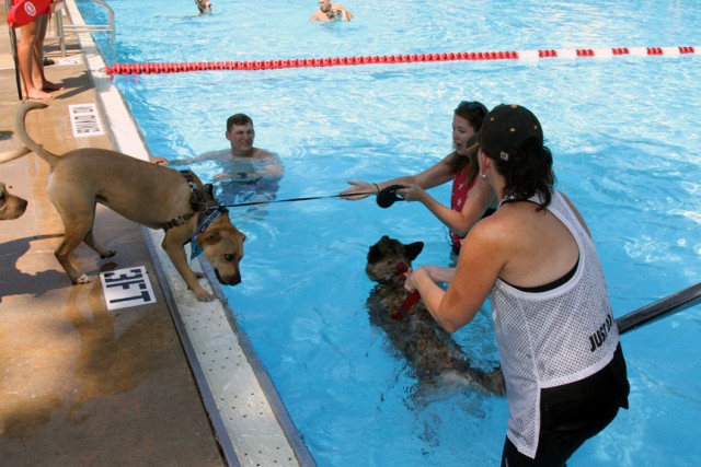 Pool4