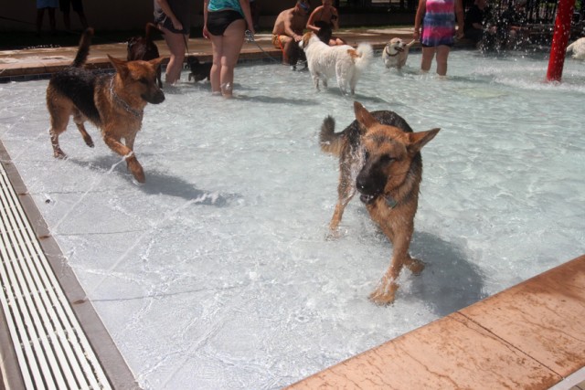 Pool6