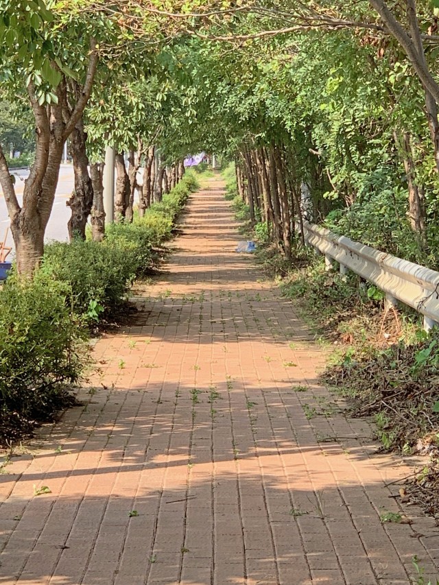 A clear path