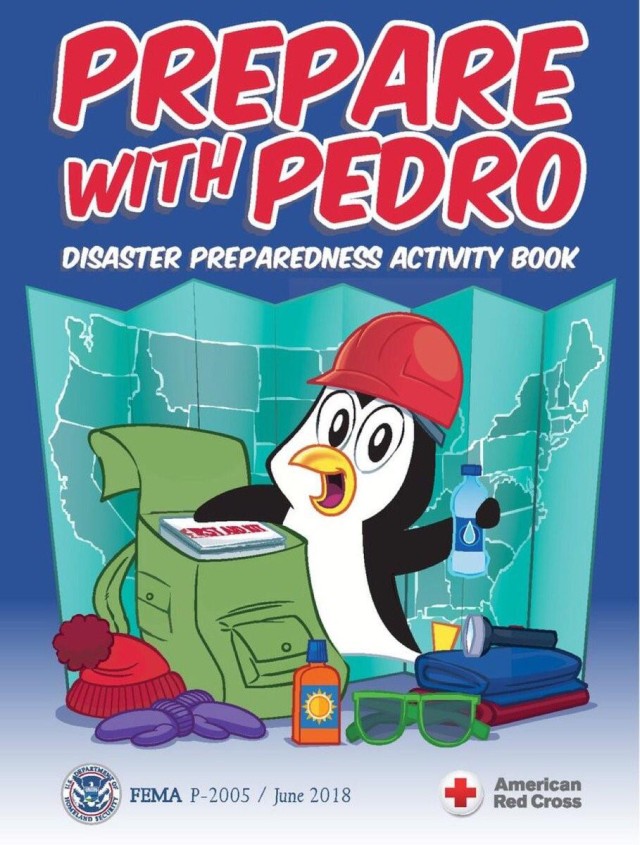 Youth preparedness