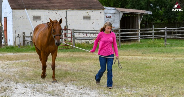 Eastern equine encephalitis