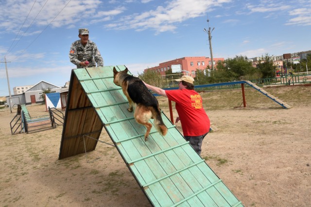 Canine trainers bring experience, compassion to Mongolian disaster response exercise
