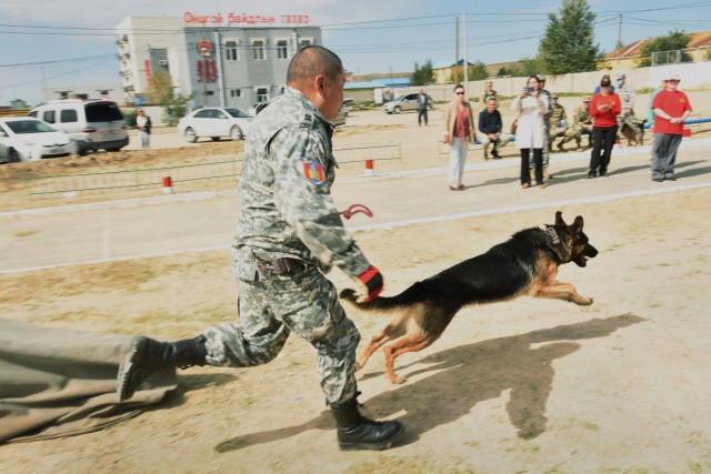 Canine trainers bring experience, compassion to Mongolian disaster response exercise
