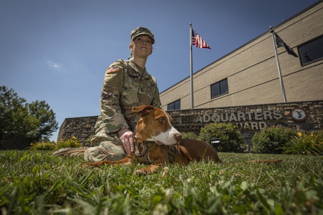 Ace lends a paw to Soldiers in need
