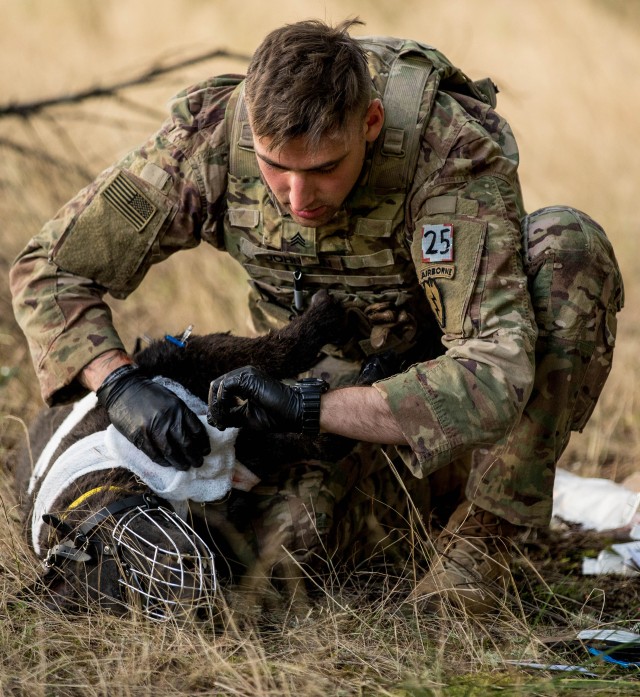 Army Best Medic Competition features military working dogs for first-time