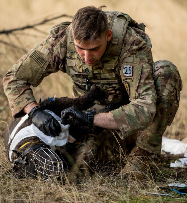 Army Best Medic Competition features military working dogs for first-time 