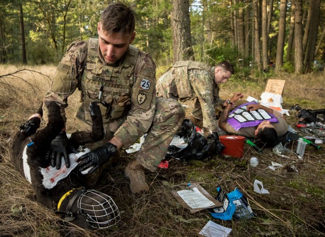 Army Best Medic Competition features military working dogs for first-time 
