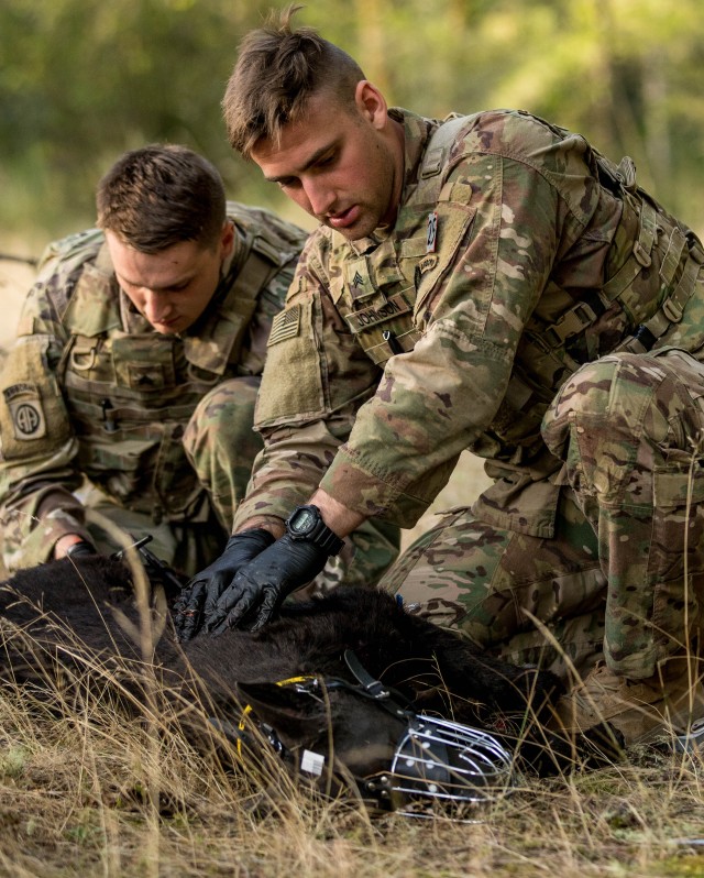 Army Best Medic Competition features military working dogs for first-time 