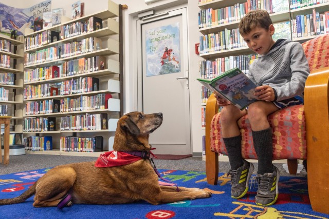 Dog visits Wiesbaden Library for PaWs read-aloud program