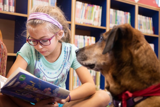 Dog visits Wiesbaden Library for PaWs read-aloud program