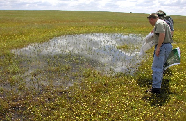 SCCCHP Vernal pools