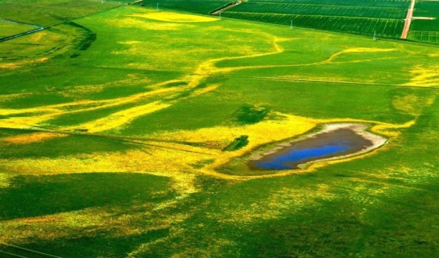 SCCCHP Vernal pools
