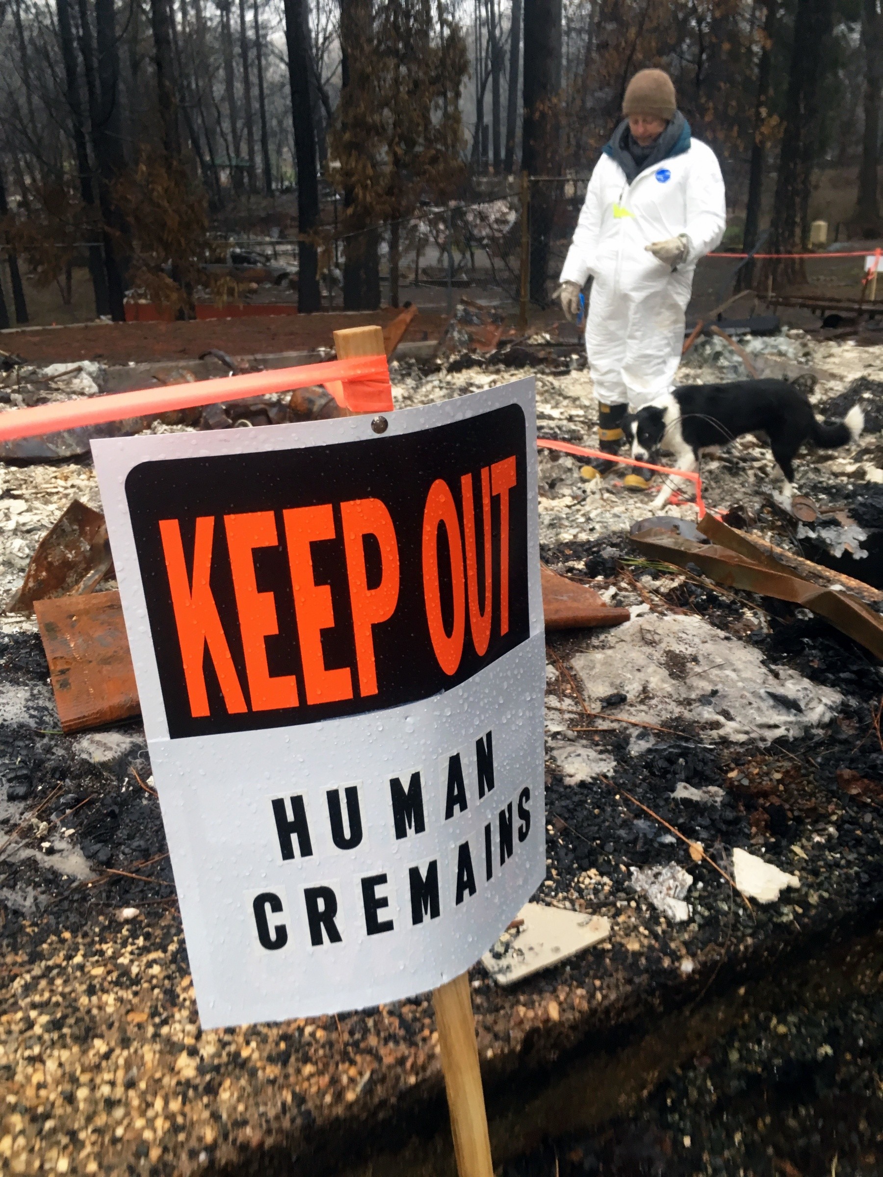 Corps Employees Help Find Cremains Among Camp Fire Debris | Article ...