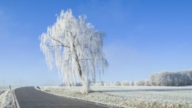 Winter Roads