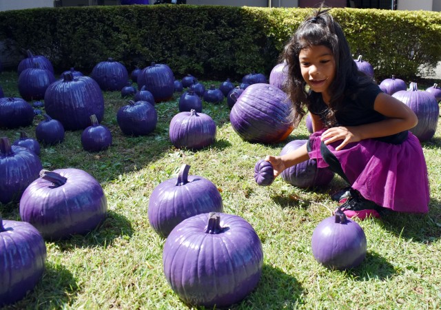 USAG Japan ACS raises domestic violence awareness with 'Purple Pumpkin' event