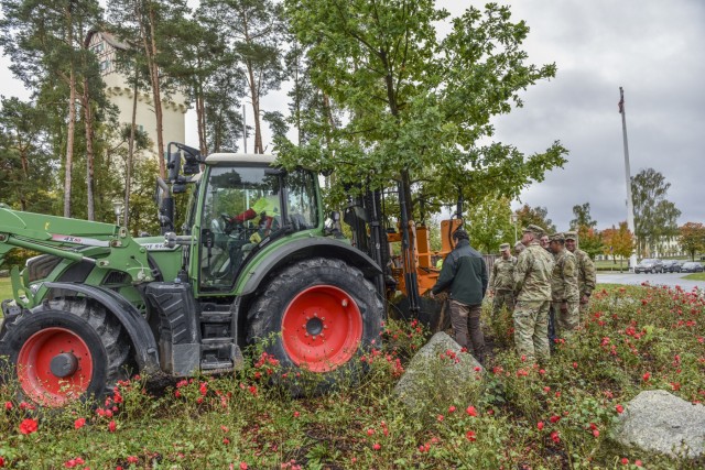Planting an oak tree- growing community roots