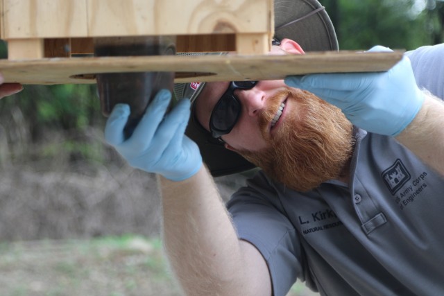 A bug's life: Protecting the American Burying Beetle