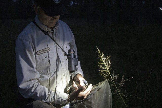 Fort Stewart Fish and Wildlife translocate endangered red-cockaded woodpeckers to Florida wildlife refuge