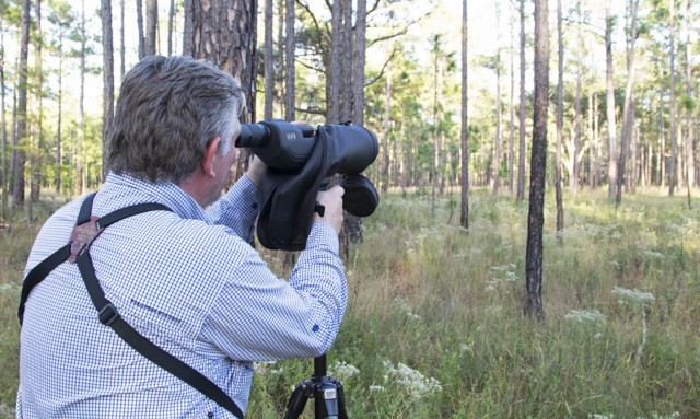 Fort Stewart Fish and Wildlife translocate endangered red-cockaded woodpeckers to Florida wildlife refuge