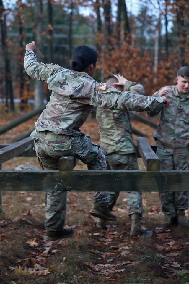 Mountain Sappers climb and weave at confidence course