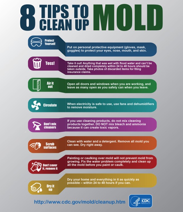Housing and medical officials explain the truth about mold in central Kentucky