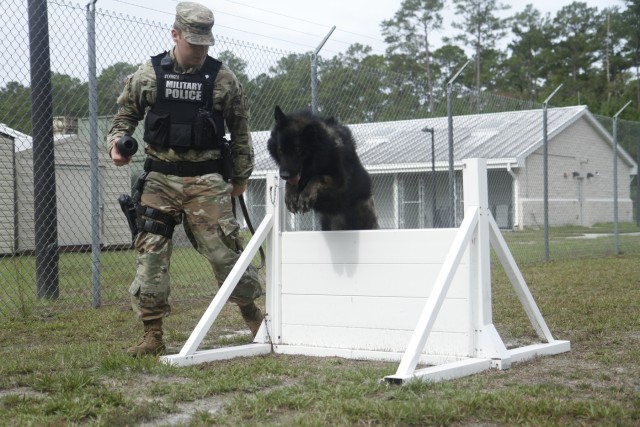 DOD/MWD K-9 Obstacle course