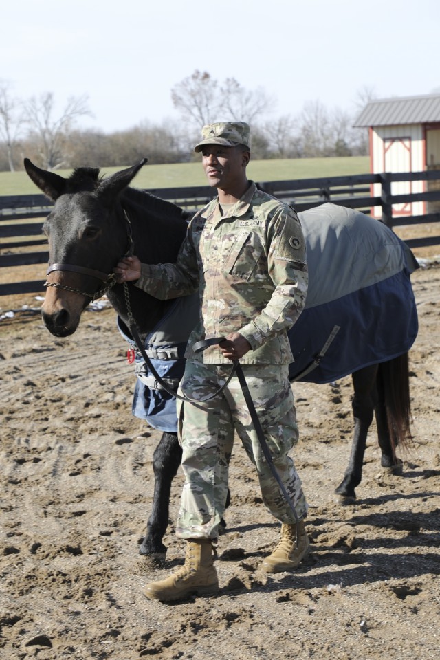 1st TSC spouses visit Sgt. Blackjack on 45-acre farm