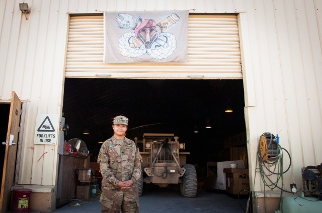 Panther Paratrooper Keeps Lights On, Power Flowing