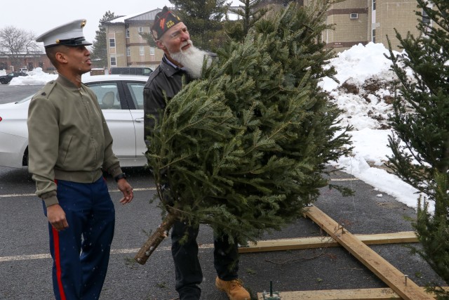 Trees for Soldiers