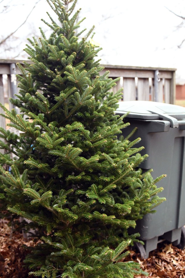Commentary: What to do with real Christmas trees after the holidays