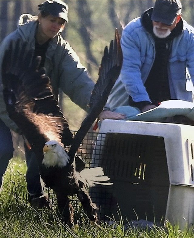 Ohio National Guard member volunteers at wildlife center