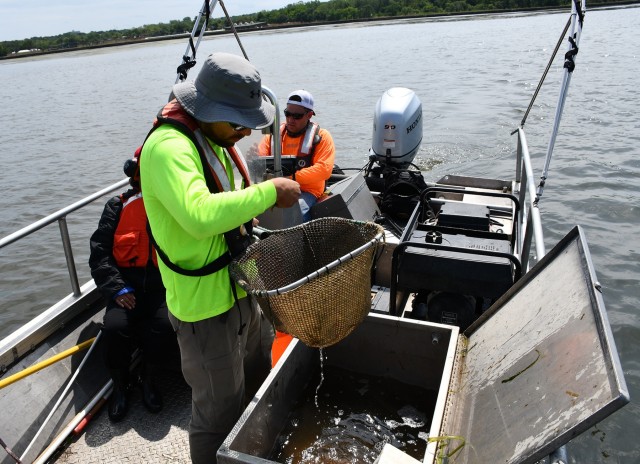 USACE fish biologists look forward to 2020 sampling season