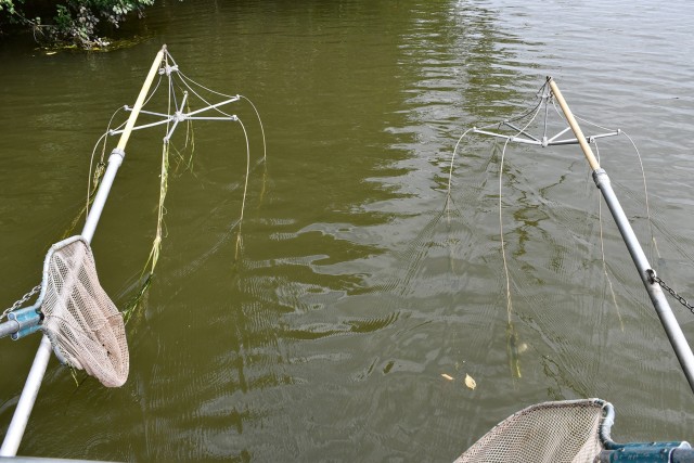 USACE fish biologists look forward to 2020 sampling season