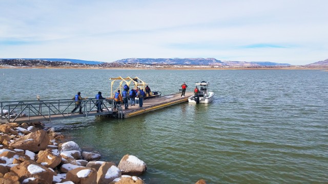Three eagles counted during annual eagle watch at Abiquiu Lake