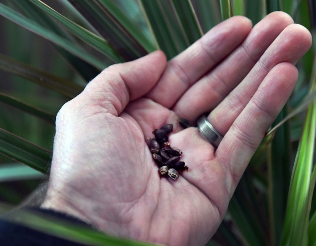 USDA: Veterans wanted to break ground in agriculture