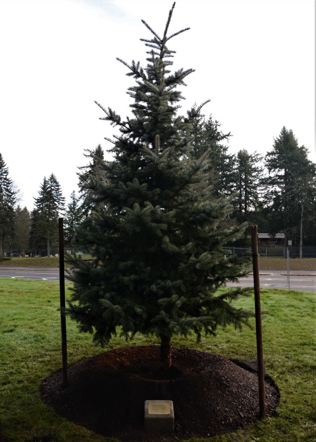 New tree takes root at Commanding General's Arboretum