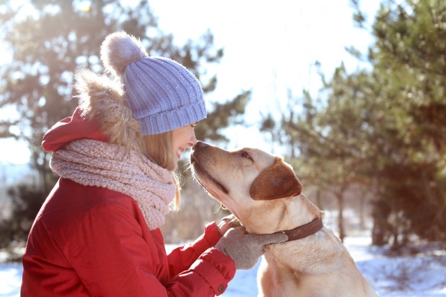 The benefits of dog walking