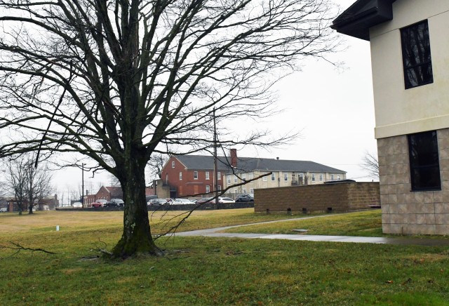 Knox Hills looks out for residents by routinely tending to their trees