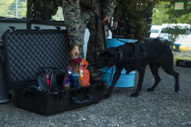 Cobra Gold 20: 31st MEU, Royal Thai Marines, JGSDF conduct NEO