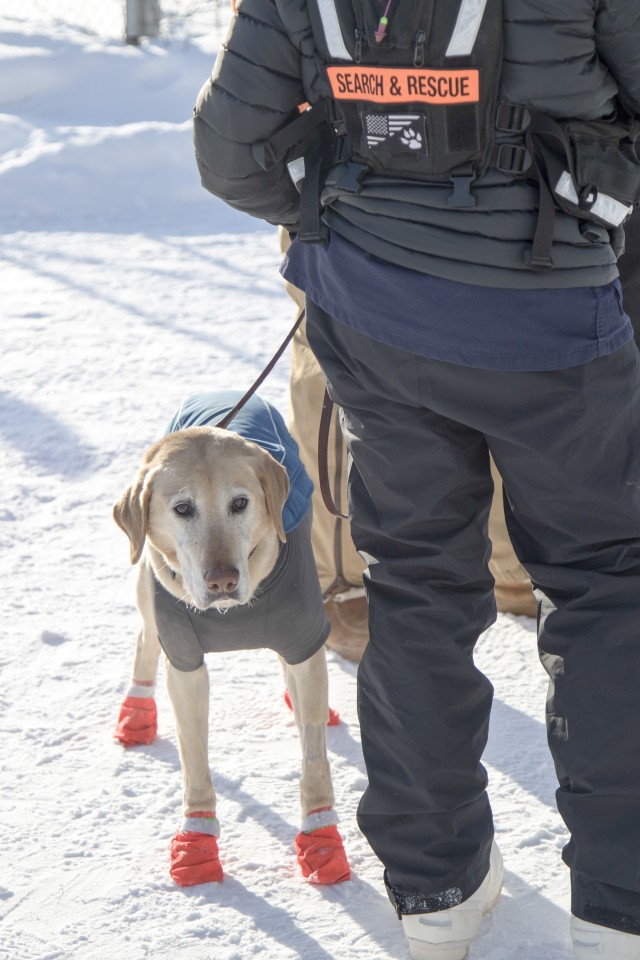 R-and-D experts test ideas in frigid Arctic Eagle 2020 exercise