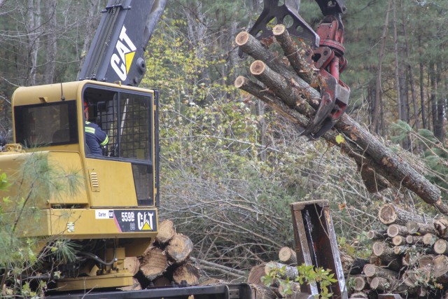Forest Management