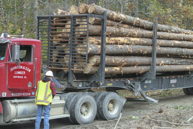 Logging Truck