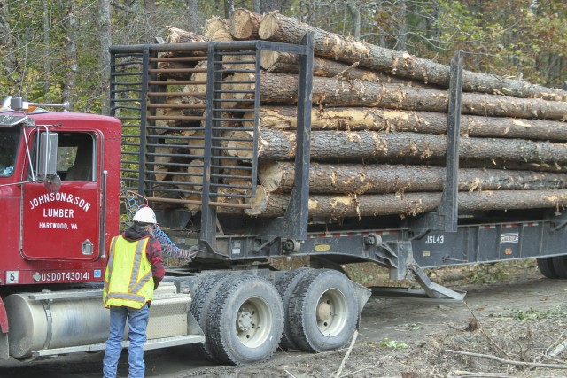 Logging Truck 